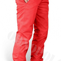 Брюки Surplus XYLONTUM CHINO 