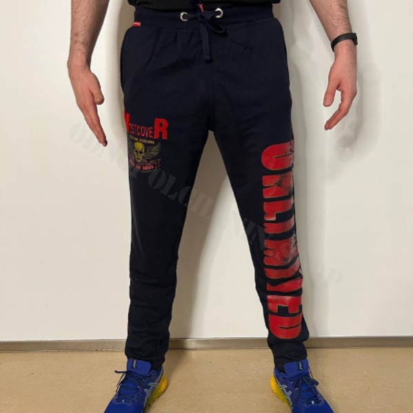 Спортивные Штаны Vestcover «Free» синие 