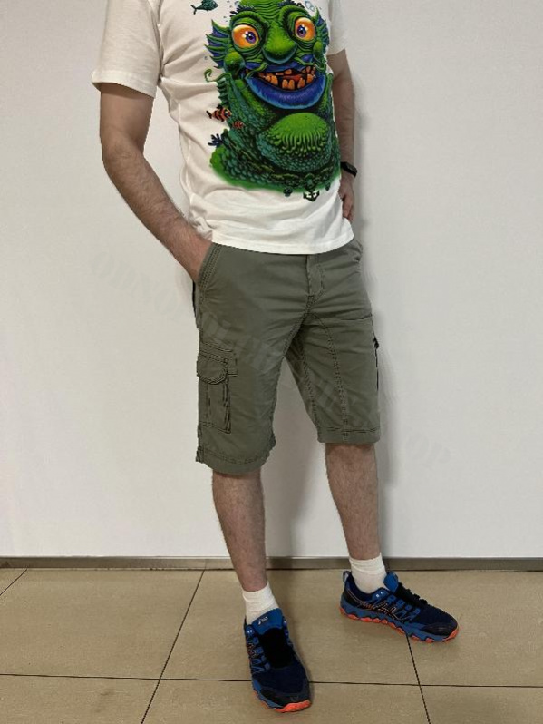 Шорты директор Assorti 