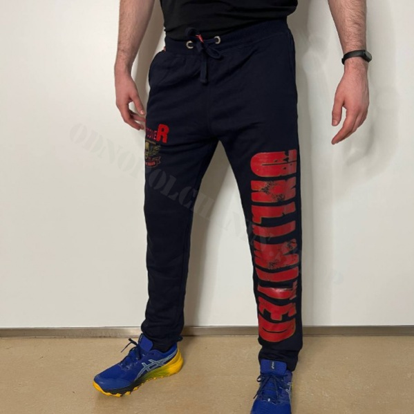 Спортивные Штаны Vestcover «Free» синие 