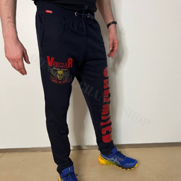 Спортивные Штаны Vestcover «Free» синие 