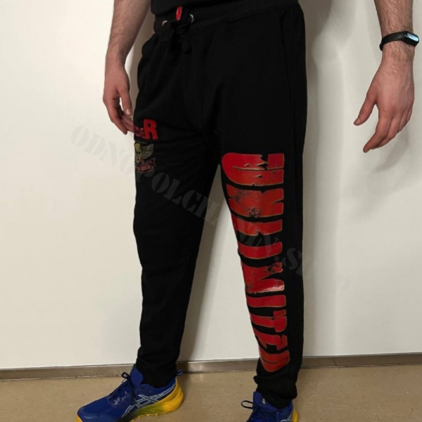 Спортивные Штаны Vestcover «Free» черные 